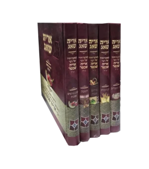 אריה שאג - מועדים