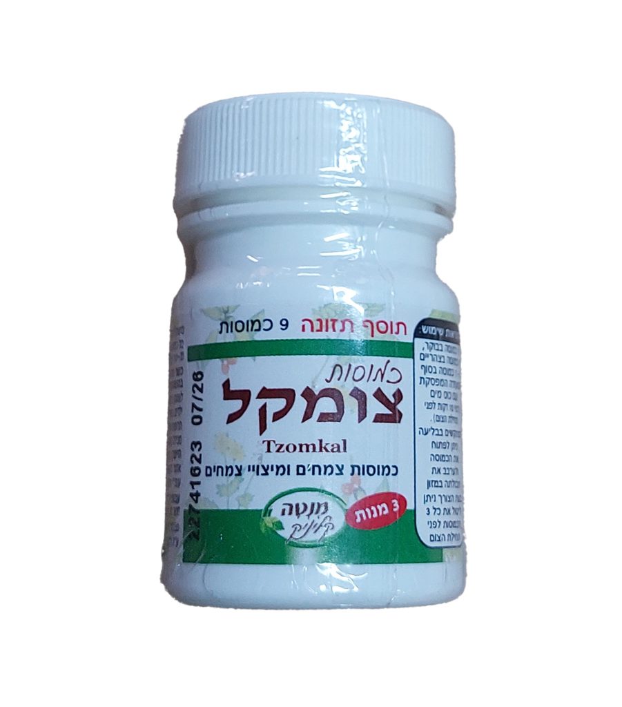 צום קל
