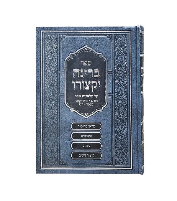 ⁦ברינה יקצורו⁩ – תמונה ⁦2⁩