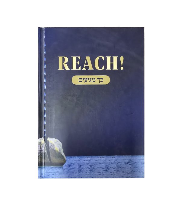 REACH - כך מגיעים