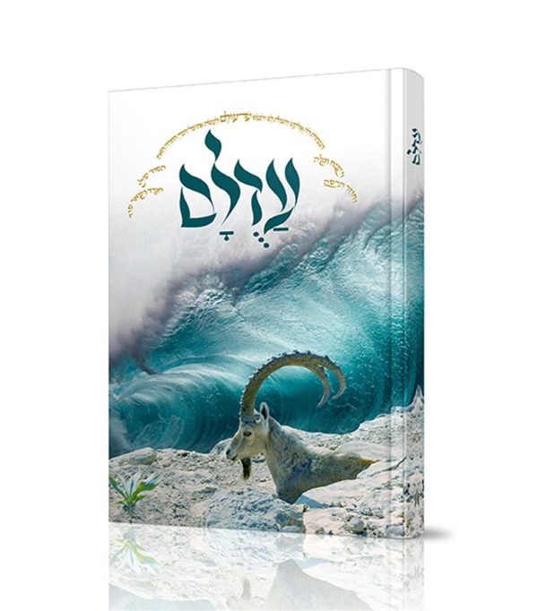 עַדֻלָּם