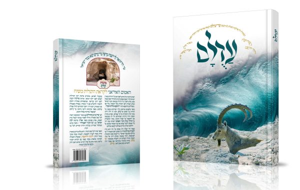⁦עַדֻלָּם⁩ – תמונה ⁦2⁩