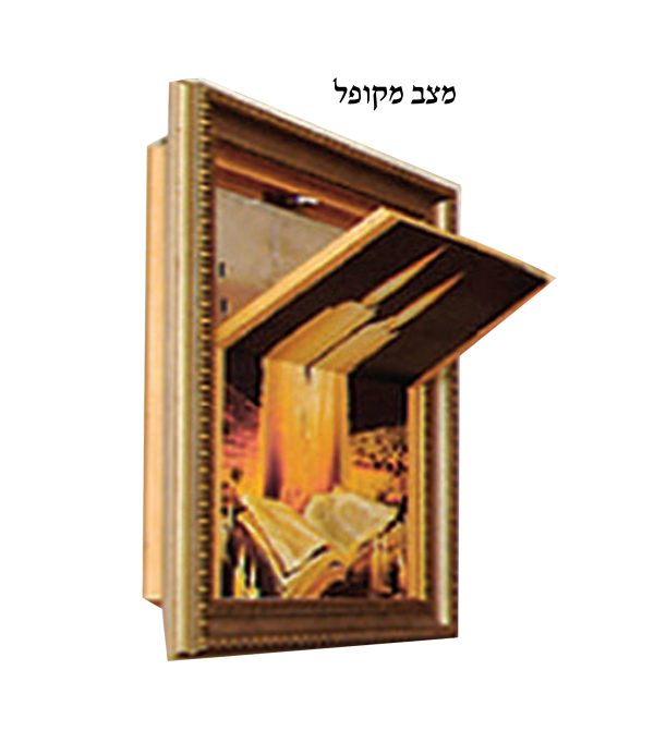 ⁦פמוטמונה⁩ – תמונה ⁦3⁩