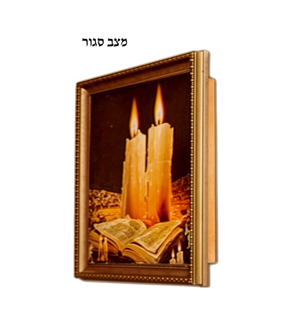 ⁦פמוטמונה⁩ – תמונה ⁦4⁩