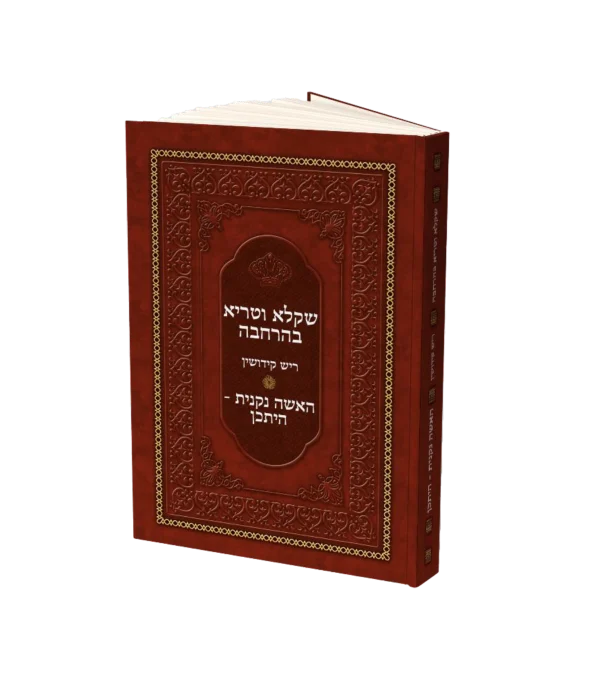 שקלא וטריא
