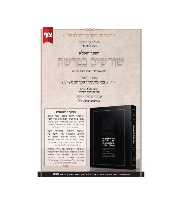 ⁦שורשים בפרשה⁩ – תמונה ⁦2⁩