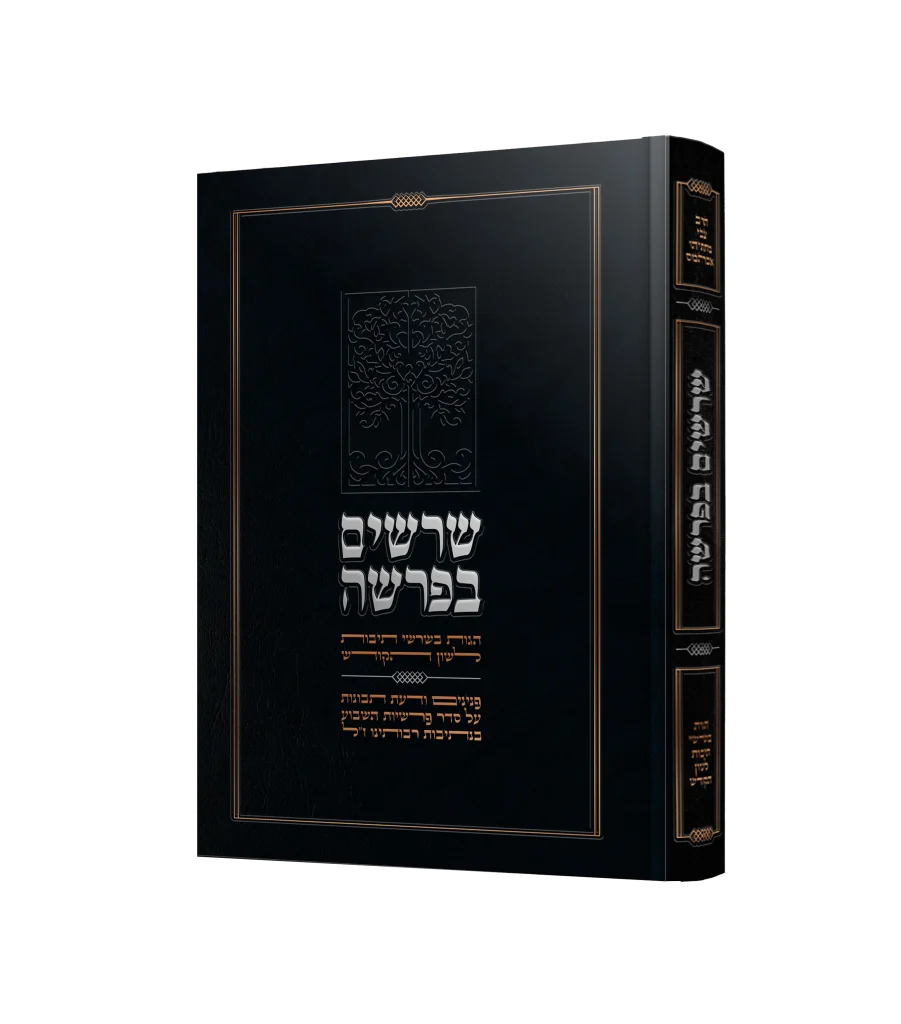 שורשים בפרשה