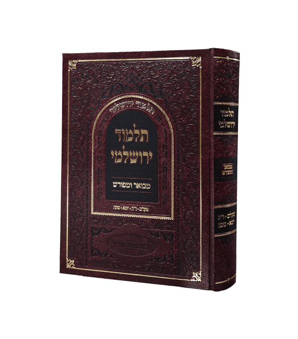 ⁦ירושלמי מפורש ומבואר / ברכות / פאה דמאי / כלאים שביעית / מעשר שני חלה ערלה / תרומות ומעשרות / שבת / עירובין פסחים / שקלים⁩ – תמונה ⁦14⁩