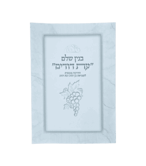 בנין שלם עת דודים