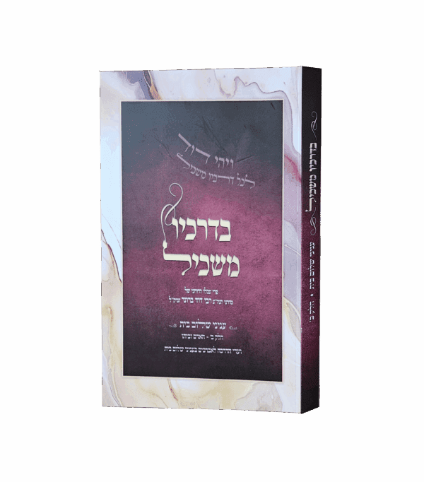בדרכיו משכיל - שלום בית