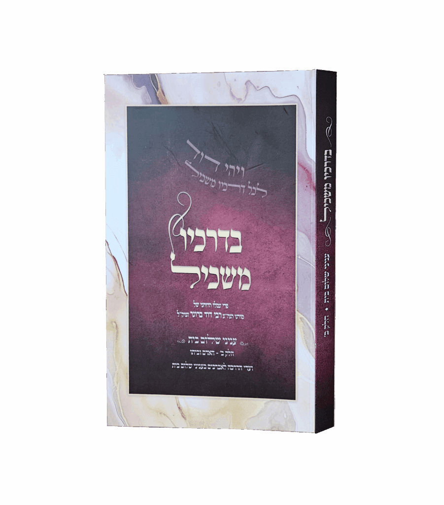 בדרכיו משכיל - שלום בית