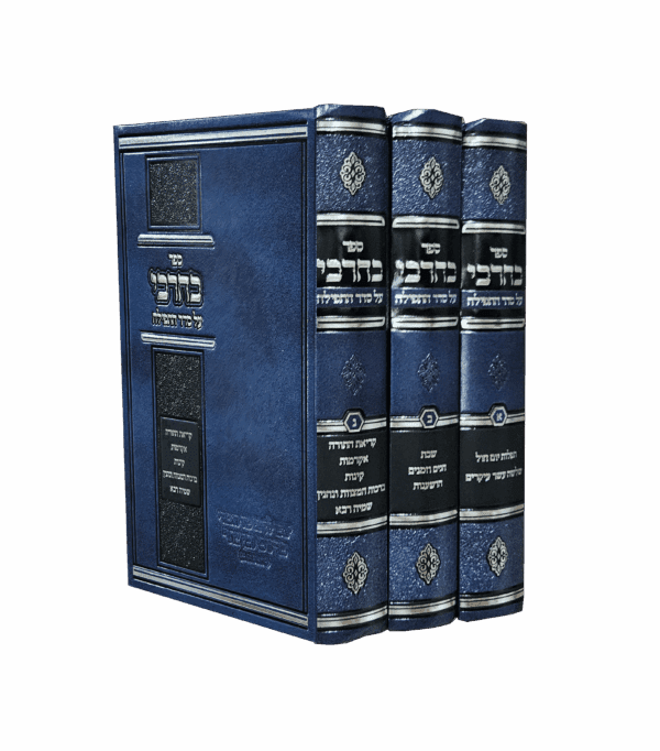 בחרבי - על סדר התפילה