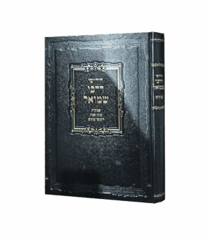 חידושי דרכי שמואל