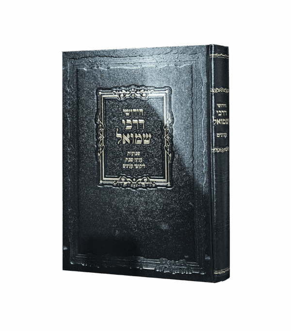 חידושי דרכי שמואל