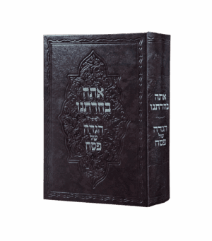 הגדה של פסח אתה בחרתנו