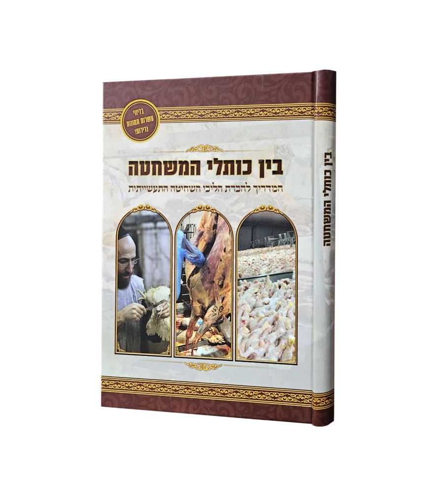 בין כותלי המשחטה