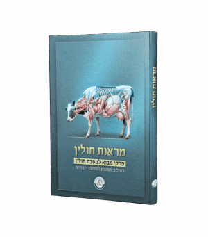 מראות חולין