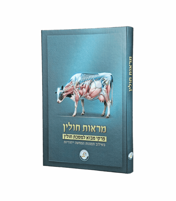 מראות חולין