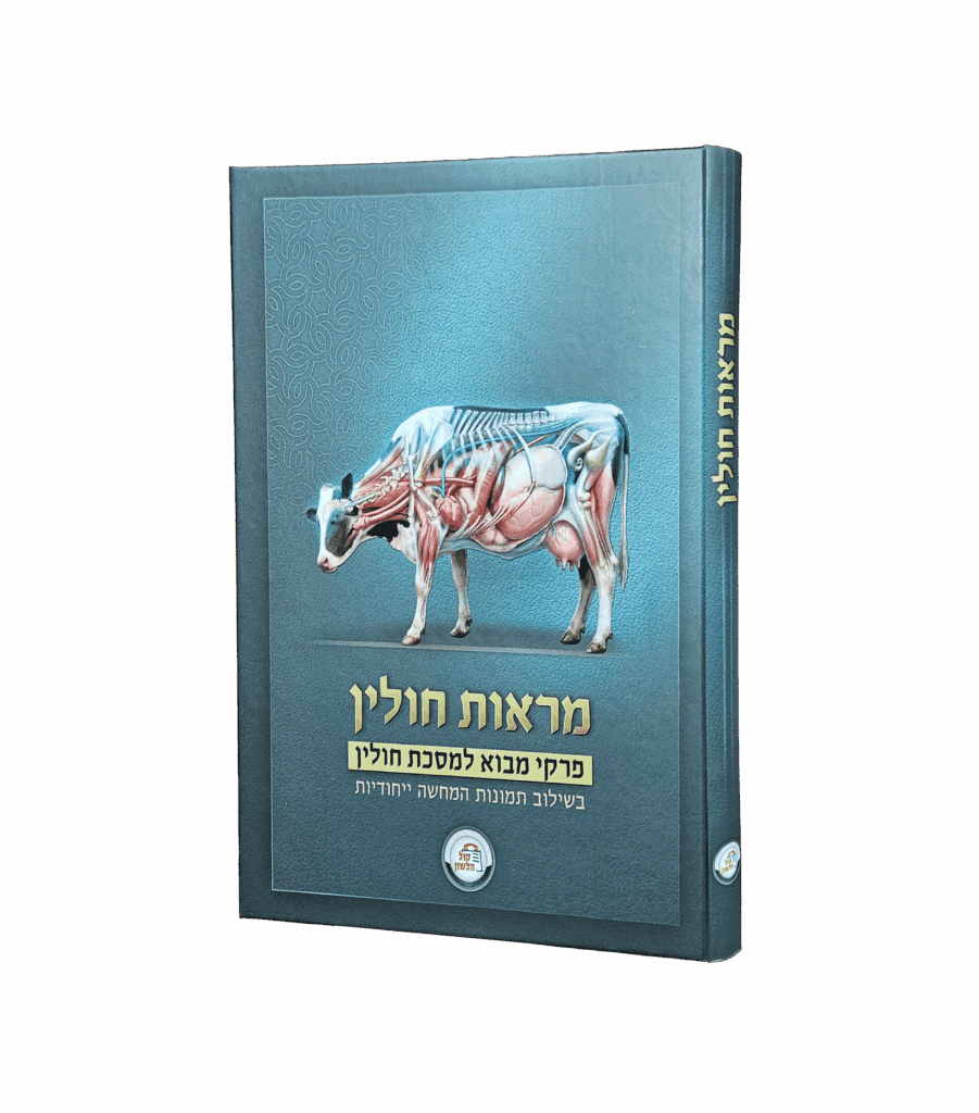 מראות חולין