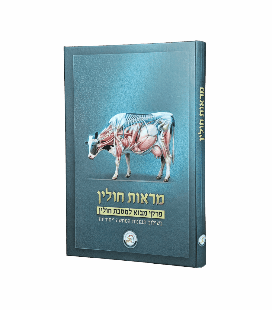 מראות חולין