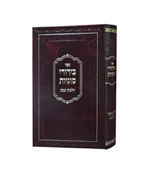 בירורי סוגיות