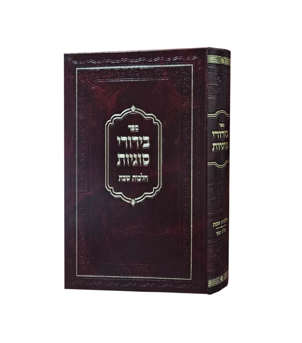 בירורי סוגיות
