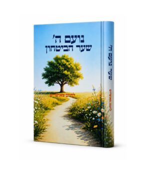 נועם ה' שער הביטחון