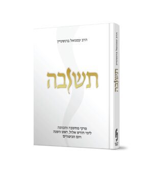 תשובה - הרב עמנואל ברנשטיין