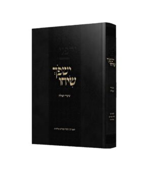 ישפוך שיחו שיעורי תפילה רבי משה שפירא