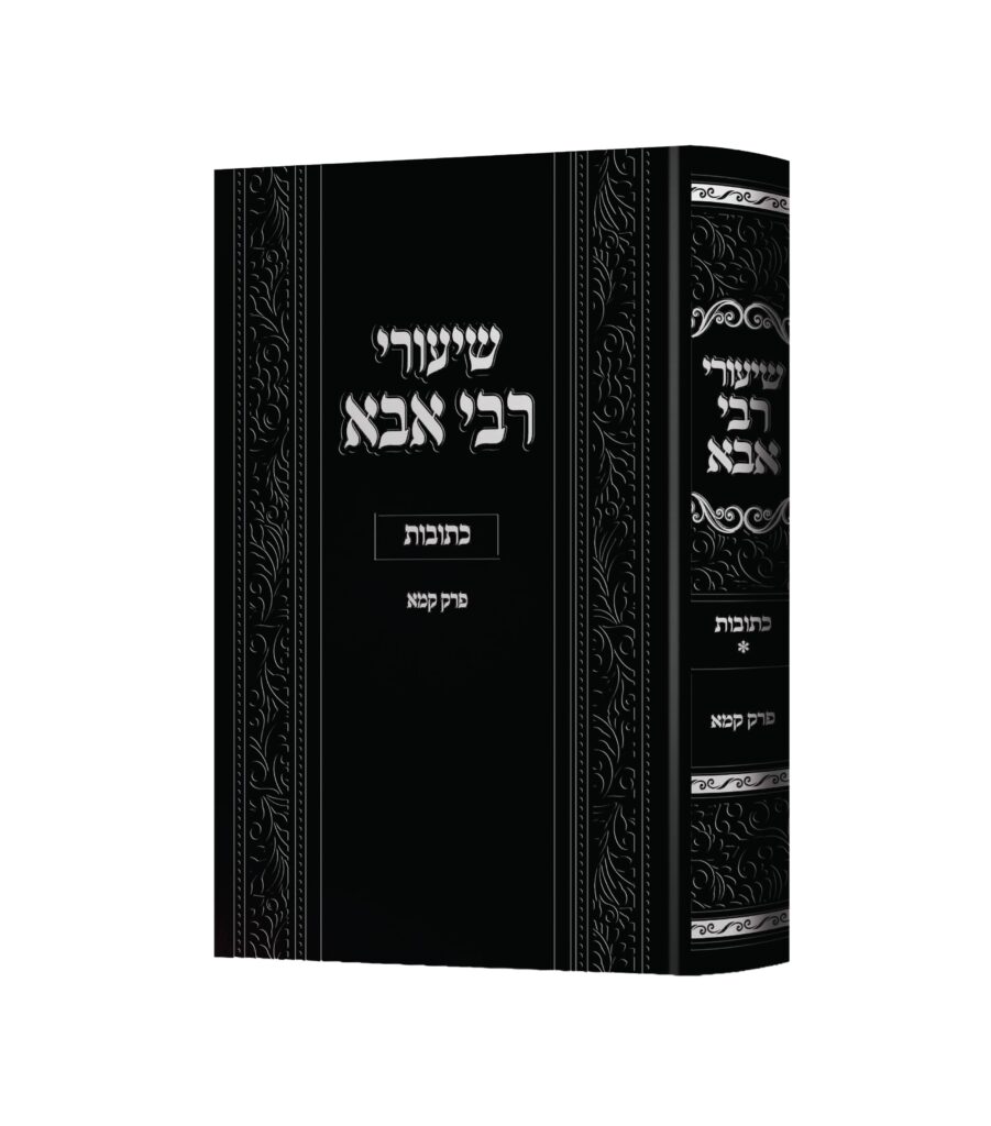 שיעורי רבי אבא